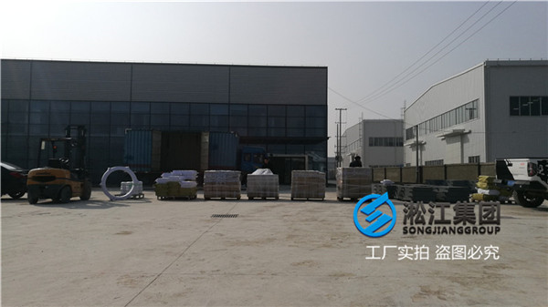 尿素車間泵(bèng)出口用(yòng)DN50/DN80橡膠膨脹節(jiē) 尿素車間泵出口(kǒu)用DN50/DN80橡膠膨脹節
